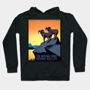 Vintage Restored WPA Poster For The National Parks Service, USA Hoodie